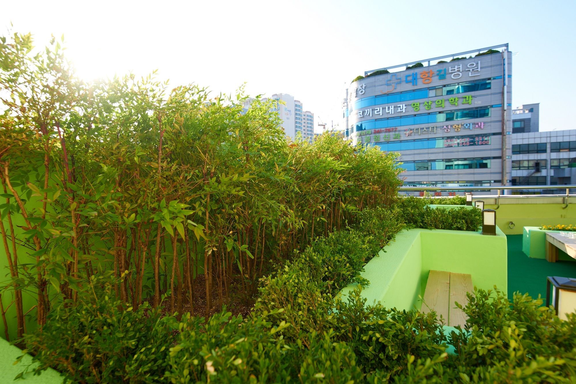 24 Guesthouse Jagalchi Busan Eksteriør billede